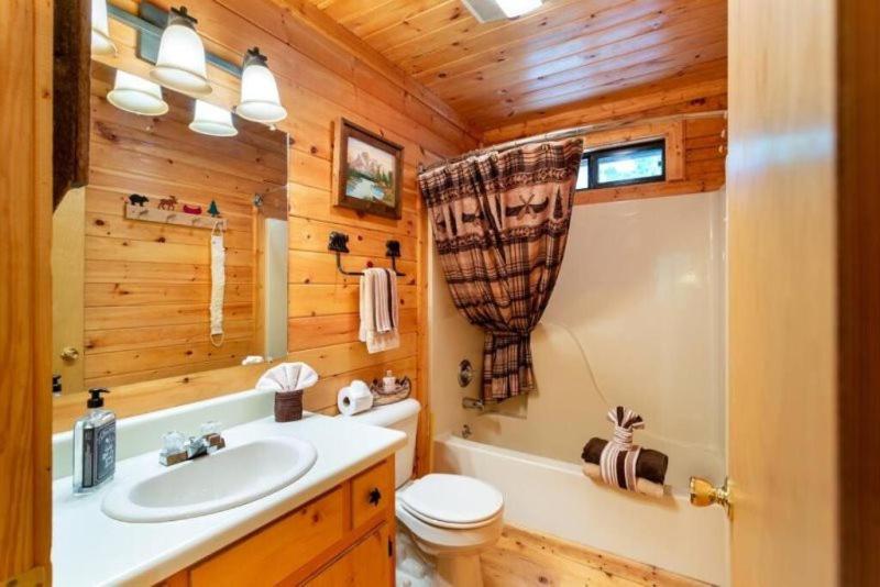 Vila Mountain Spirit Cabin - Fireplace And Hot Tub Blue Ridge Exteriér fotografie
